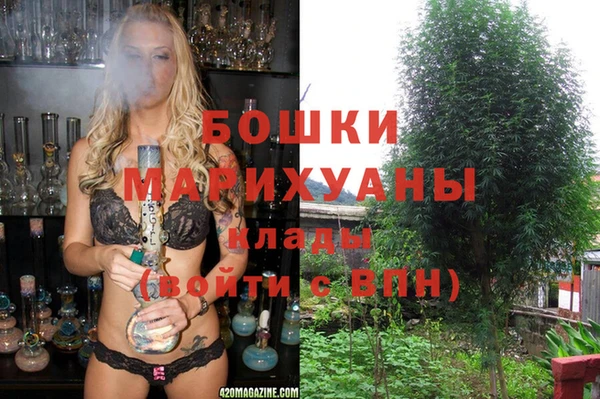 винт Алзамай