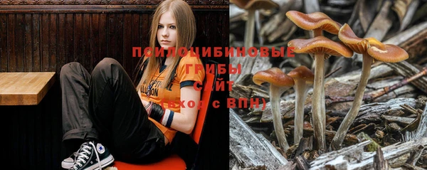 трава Алексин