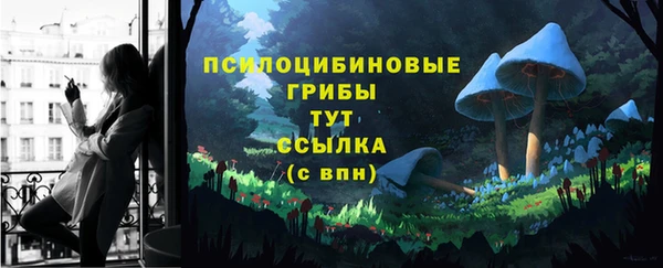 винт Алзамай