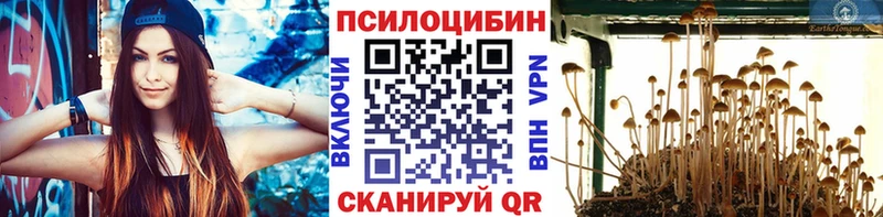 Галлюциногенные грибы мухоморы  Большой Камень 