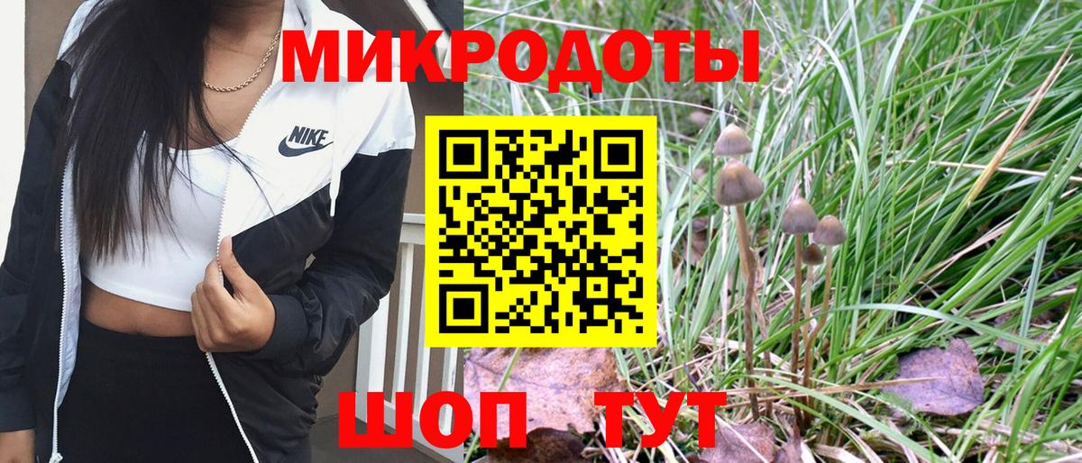 Галлюциногенные грибы мицелий  Вход с VPN  Большой Камень 