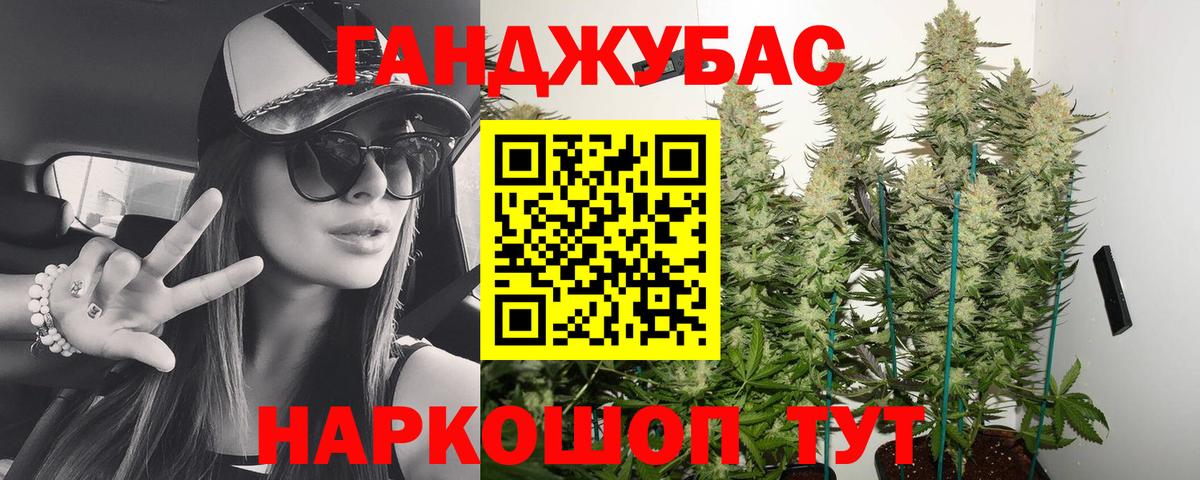 Бошки марихуана Amnesia Большой Камень